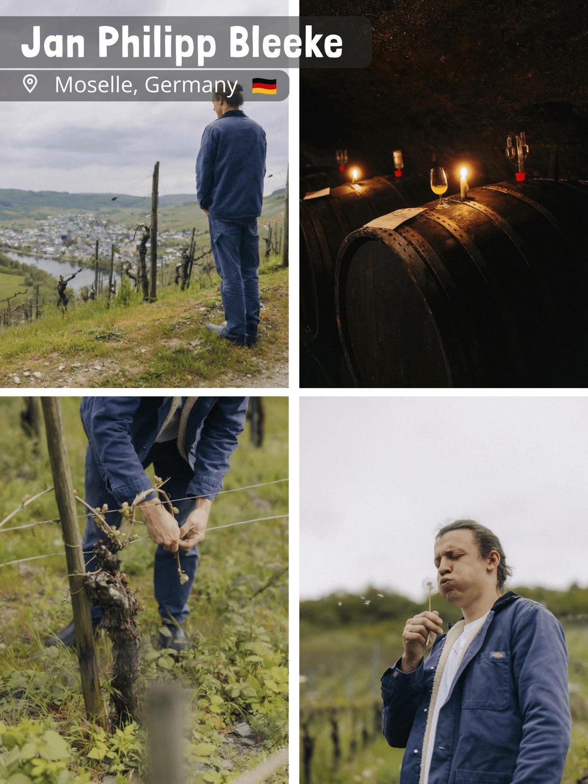 Jan-Philipp Bleeke - Winemaking